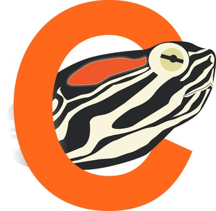 Turtle Mascot