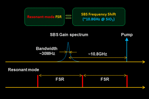 sbs_animation.gif