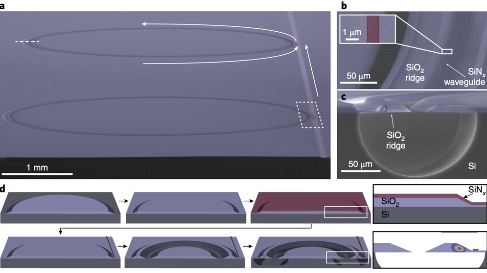 Integrated ultrahigh-Q optical resonator