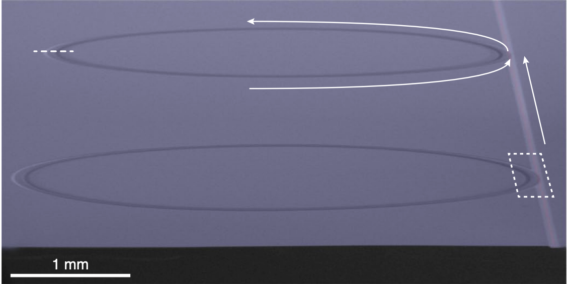 Integrated UHQ Silica Resonators