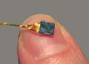 Neuroport Array