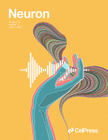 Sarah neuron cover 2022