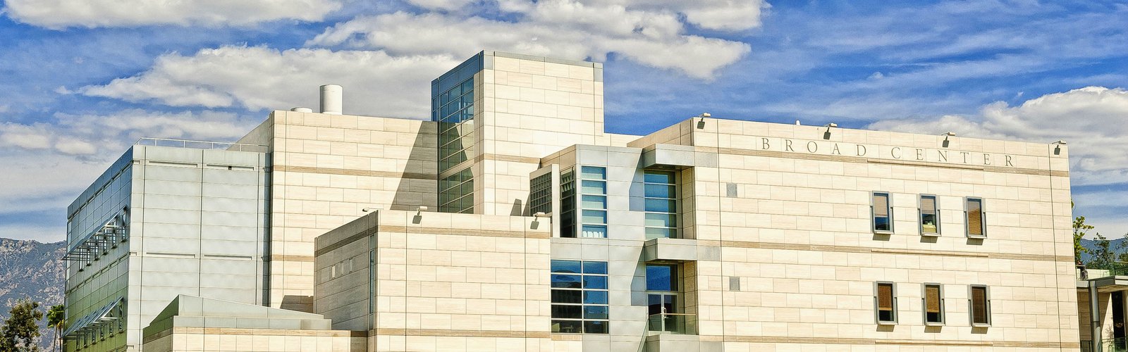Broad Center