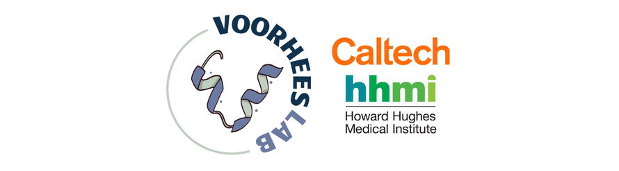 Caltech HHMI Voorhees Logo
