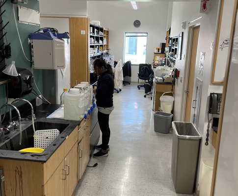 lab clean up