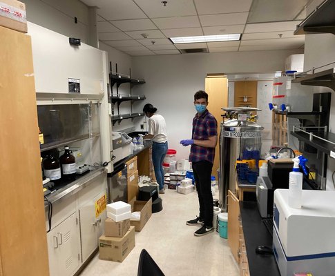 lab clean up