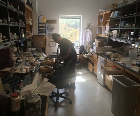 lab clean up