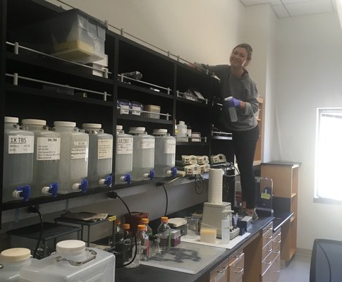 lab clean up