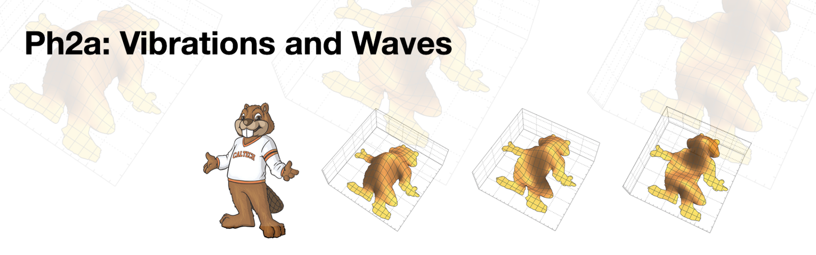 Ph2a: Vibrations and Waves