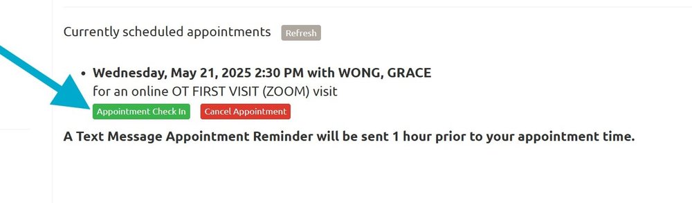 Arrow pointing to a green "Appointment Check In" button on the Student Health Portal Appointments Page