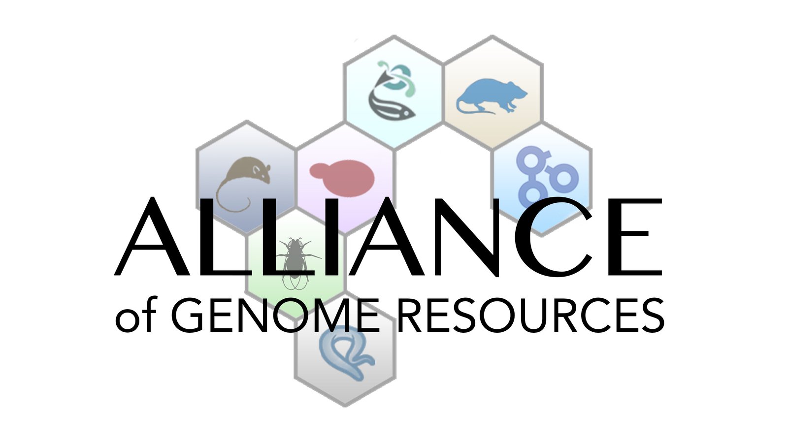 AGR Logo