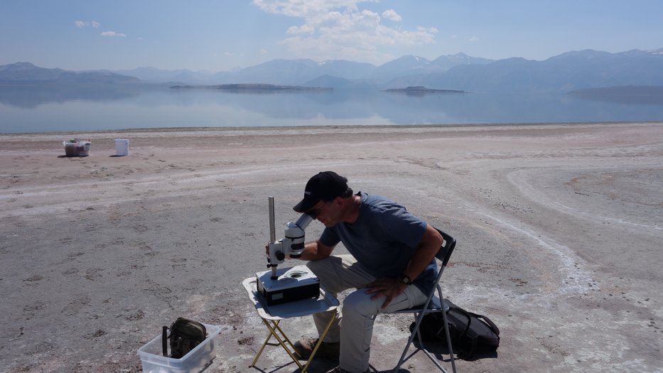 Amir Sapir at Mono Lake