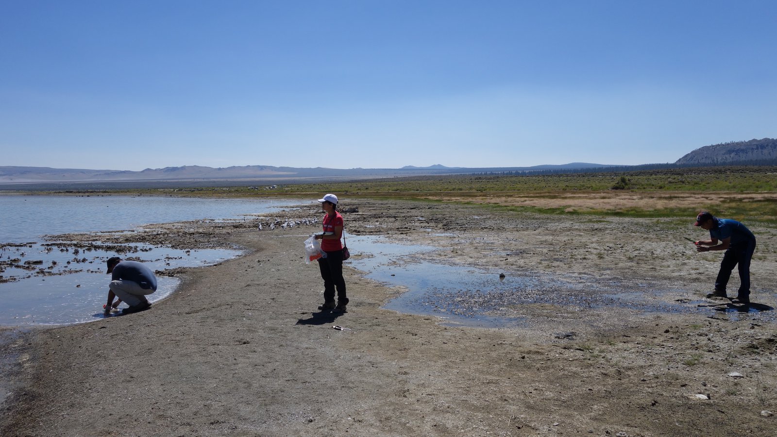 Researchers working at Mono Lake