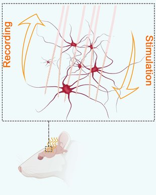 High-density closed-loop neural interfaces